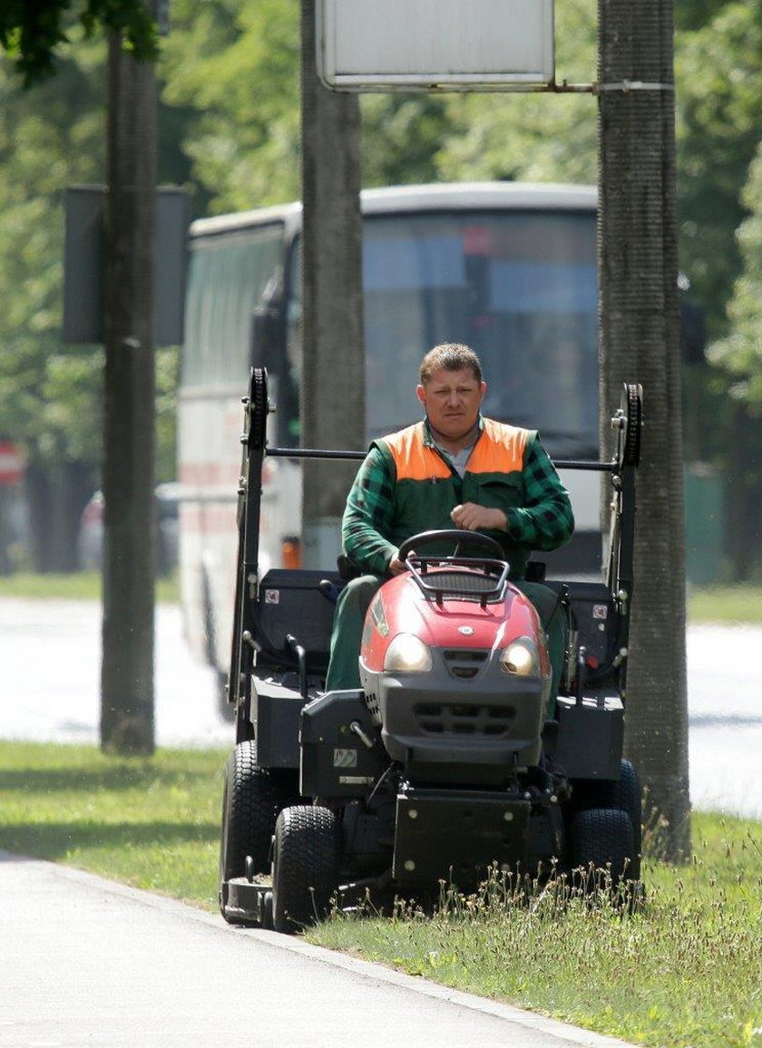 Wytnijcie te chaszcze