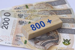 Zmiany w 800 plus po wyborach? Zamieszanie po wypowiedziach polityków