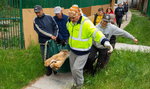 Lwy z Ukrainy w poznańskim zoo. Jak do nich mówią opiekunowie? Dyrektorka zdradziła sekret