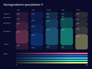 Wynagrodzenia w IT. Porównanie zarobków w krajach Europy Środkowo-Wschodniej [RAPORT]