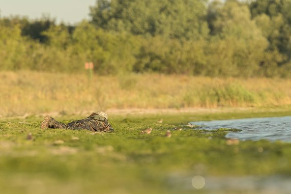 Fotografia przyrodnicza po drugiej stronie lustra