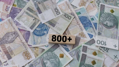 ZUS wypłaci podwójne wypłaty 800 plus w listopadzie. Oto nowy harmonogram przelewów. Dwa przelewy jednego dnia