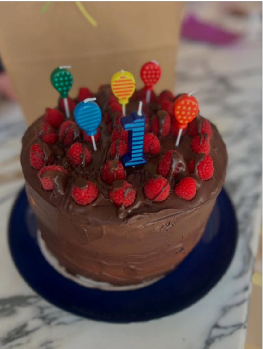 Torta na naslednika Nine Seničar