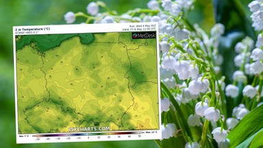 Co nas czeka w pogodzie w maju? "Poczujemy wręcz lato". Temperatura wystrzeli