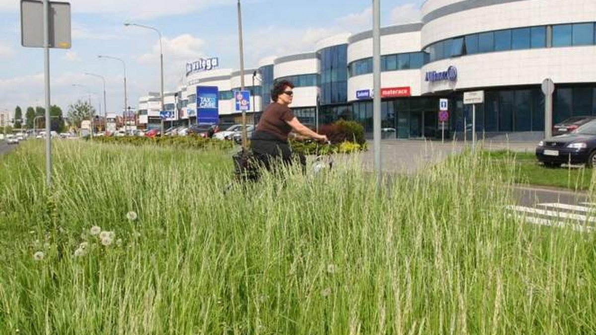 Zarośnięte pobocza były wielkim problemem Opola w 2014 roku. Miejski Zarząd Dróg wie jak nie dopuścić do powtórki - informuje "Nowa Trybuna Opolska".