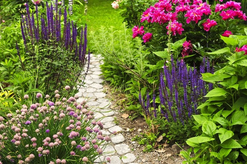 wiosna ogród rośliny