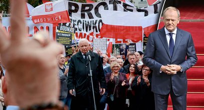 Donald Tusk wykiwał PiS? Kuriozalne słowa europosłanki