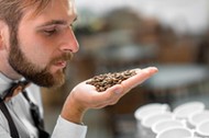 Barista checking coffee beans at the cafe