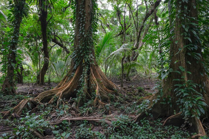 Panama