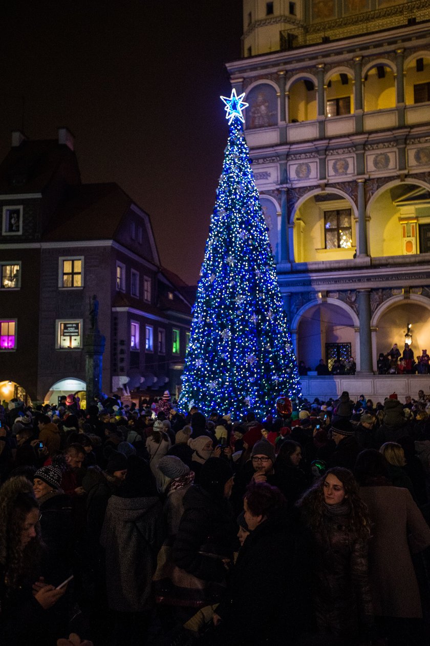 Miejska choinka w Poznaniu rozświetlona