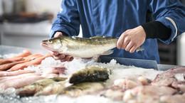 Ryby - właściwości, hodowla, wpływ na zdrowie, sposoby przyrządzania