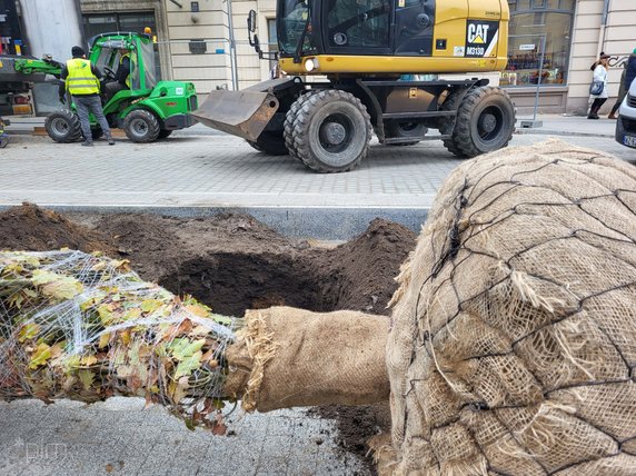 Na Al. Marcinkowskiego dotarł pierwszy transport nowych drzwi fot. PIM