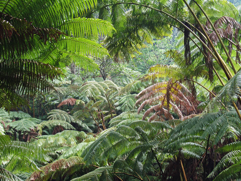 Park Narodowy Hawajskich Wulkanów