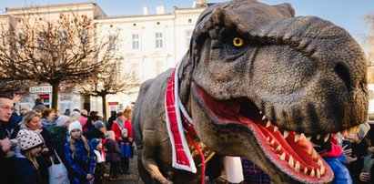 Wychodzą z dinozaurem na spacery