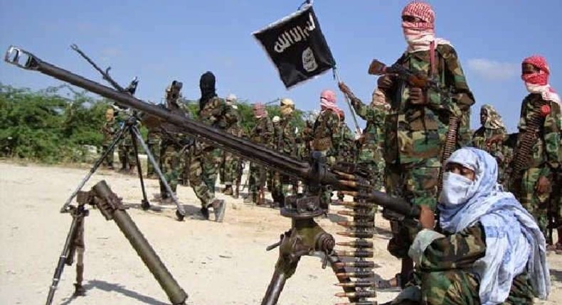 Nigeria's Boko Haram terrorists. (Sunnewsonline)