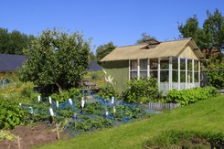 Masz ogródek działkowy? Dbasz o rośliny? TO musisz zrobić w maju!