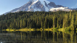 Park narodowy wulkanu Mount Rainier