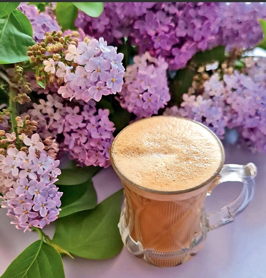 Dom Dragane Kosjerine