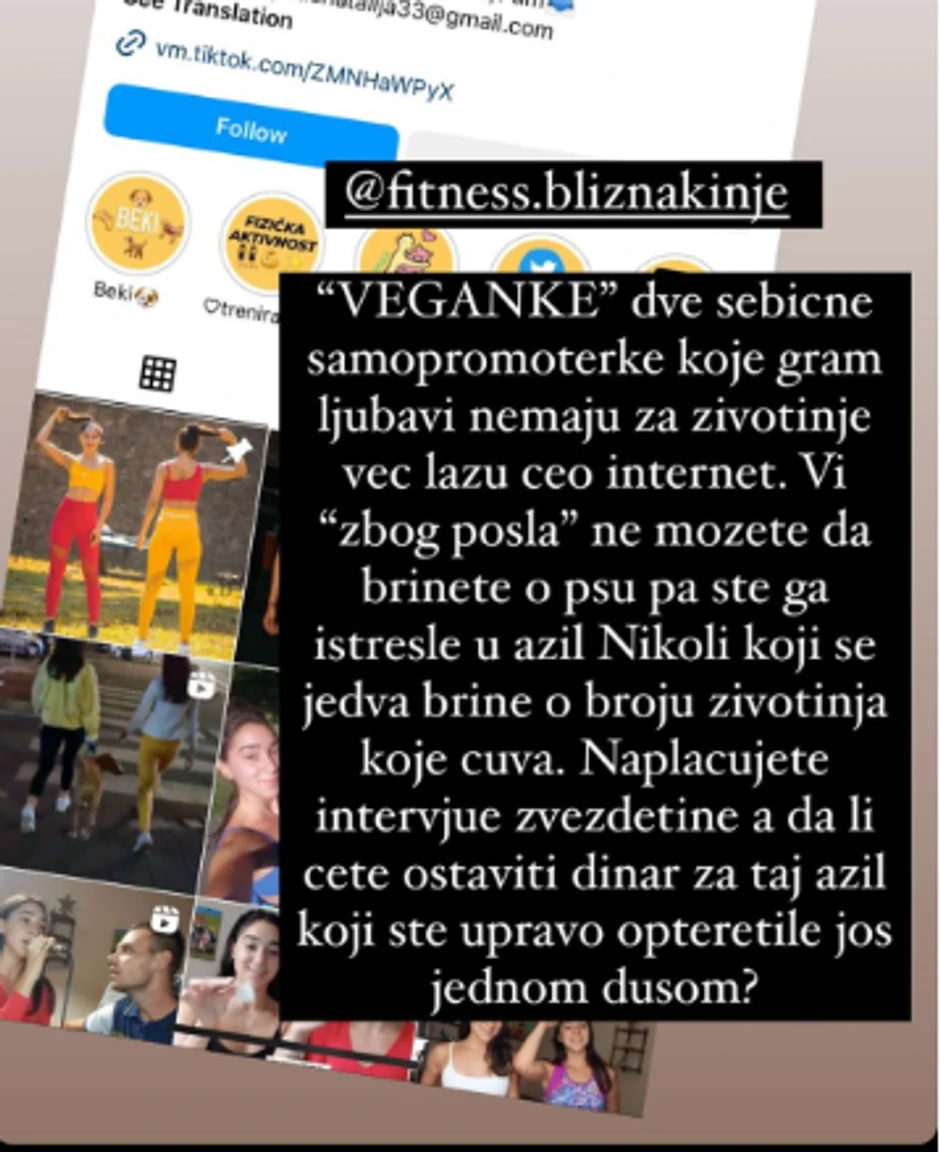 Fitnes bliznakinje navukle gnev