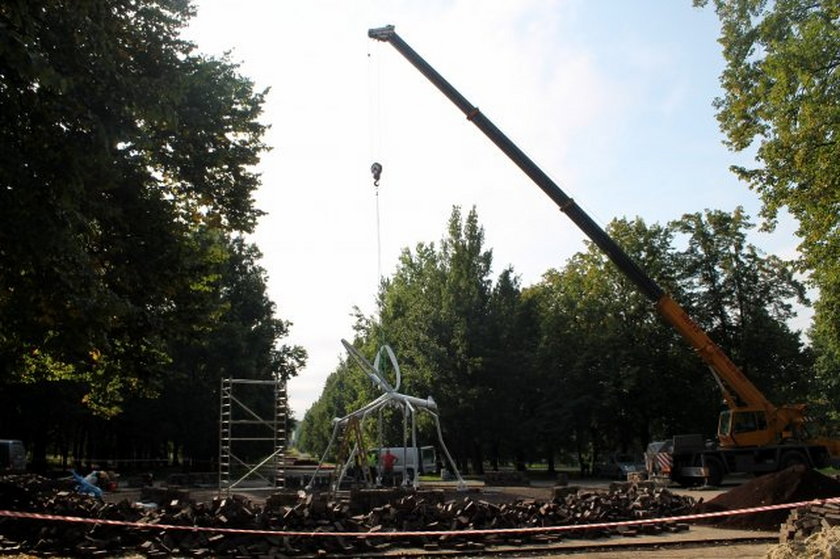 Wielki komar w Parku Śląskim