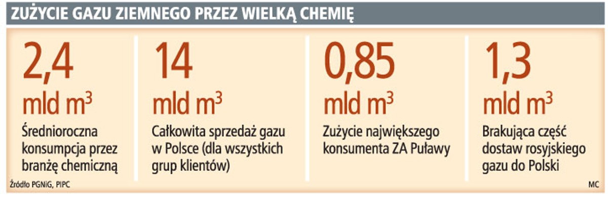 Zużycie gazu ziemnego przez wielką chemię