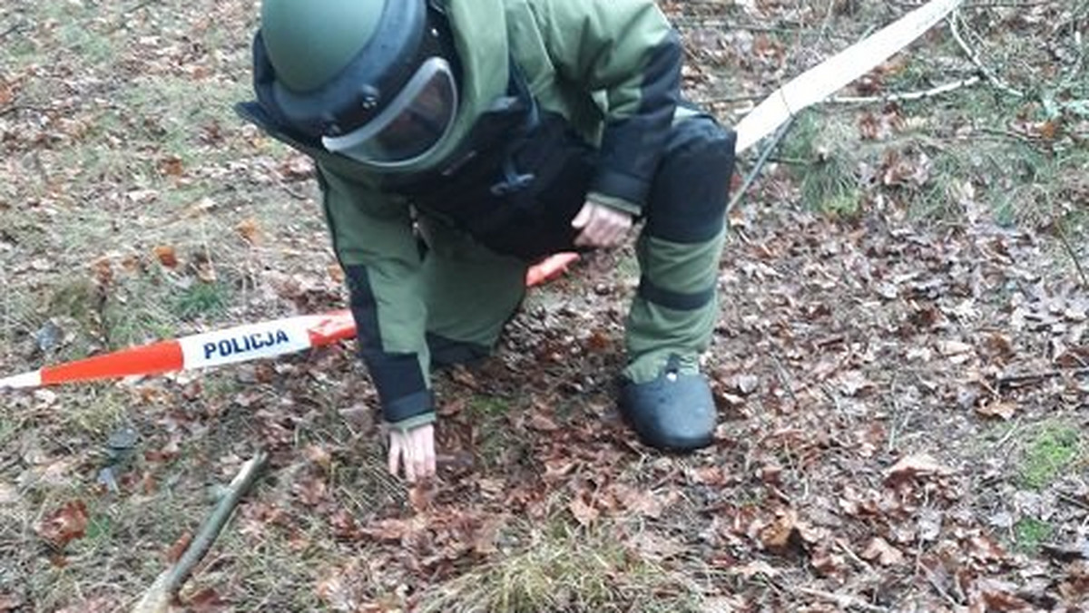 Lubelskie, Kołczyn. W lesie znaleziono bombę lotniczą 