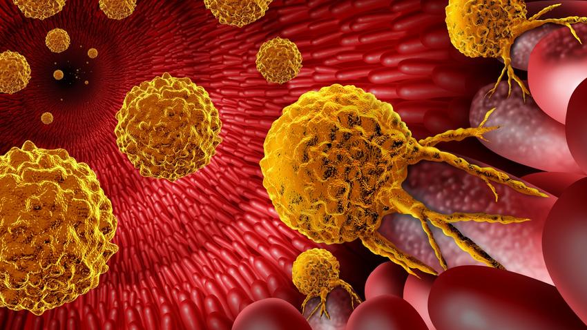 rákos sejtek immunrendszer gének T-sejtek kutatás