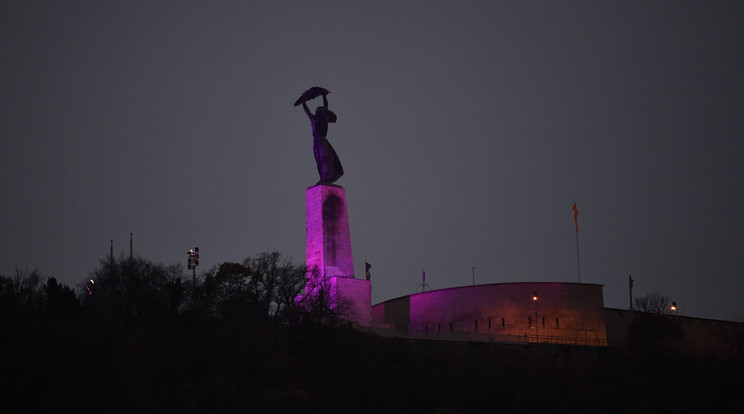 A koraszülöttek világnapja alkalmából lila fénnyel kivilágított Szabadság-szobor Budapesten 2021. november 17-én  / Fotó: MTI/Máthé Zoltán