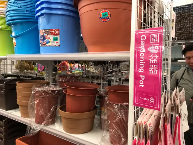 Daiso, the popular Japanese dollar store, opens in Flushing, Queens