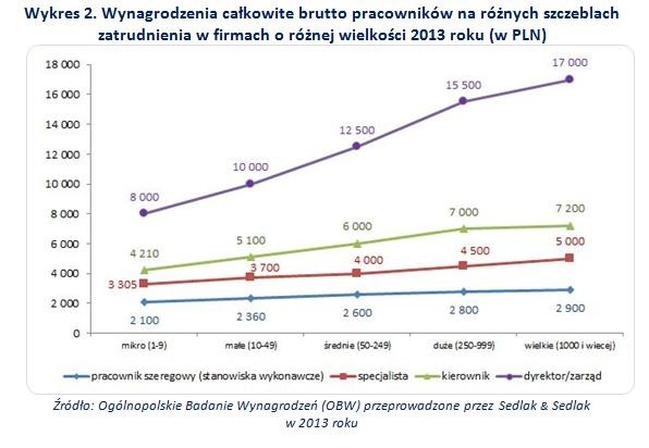 Wynagrodzenia całkowite brutto pracowników na różnych szczeblach zatrudnienia w firmach o różnej wielkości 2013 roku (w zł)