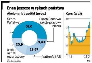 Enea po prywatyzacji może zniknąć z giełdy