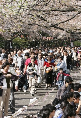 JAPAN-CHERRY-BLOSSOMS-5