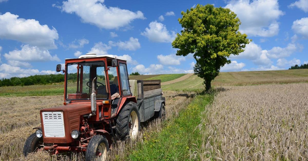 Czy praca w gospodarstwie rolnym u rodziców wlicza się do stażu pracy? -  GazetaPrawna.pl