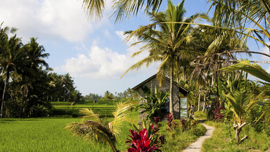 Blondynka na Bali - wigilia o zapachu duriana