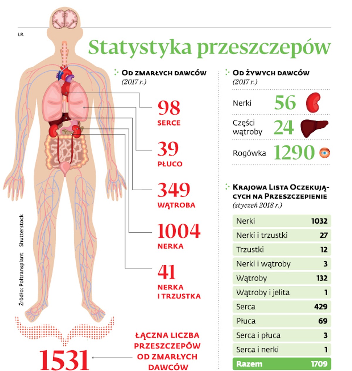 Statystyka przeszczepów