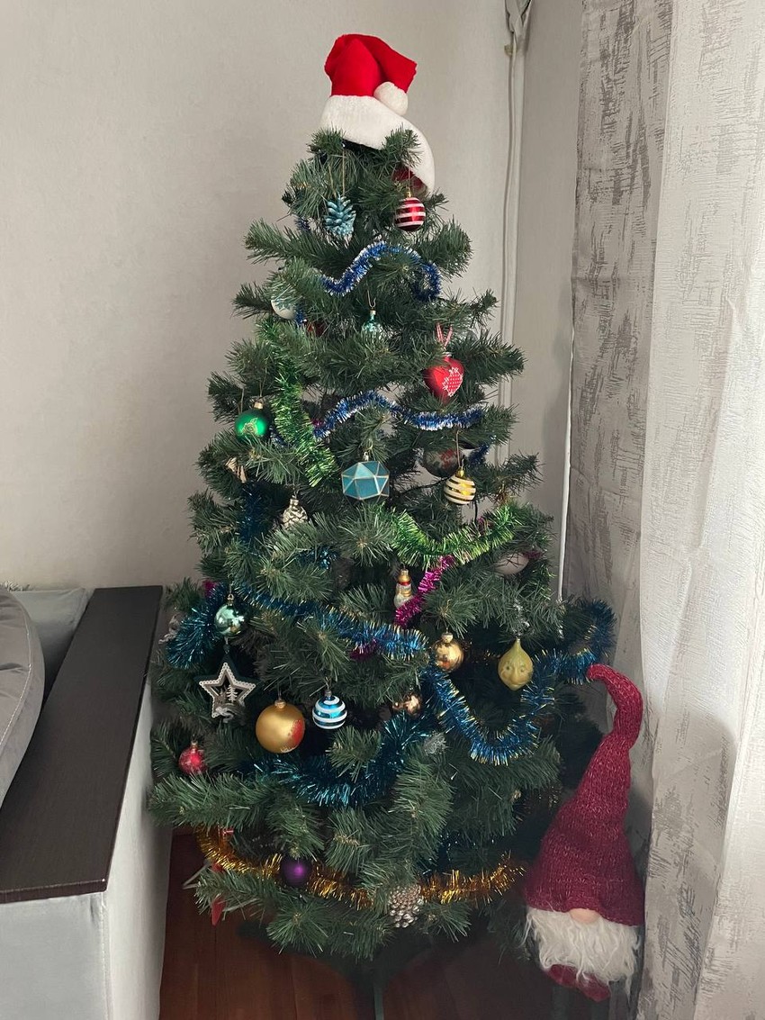 Jelka u Antonovoj kući