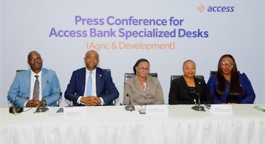 How Access Bank is revitalising Agric sector with agriculture desk