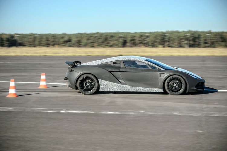 Arrinera hussarya