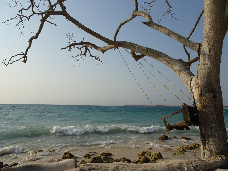 Isla Barú, obok Cartageny