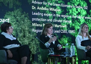 Panel 3: Navigating ESG landscape: Legal frameworks & corporate impact