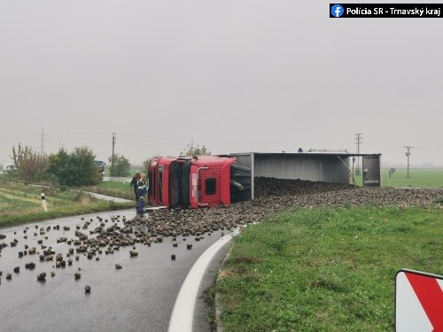 Po prevrátení sa takmer celý náklad vysypal na cestu.