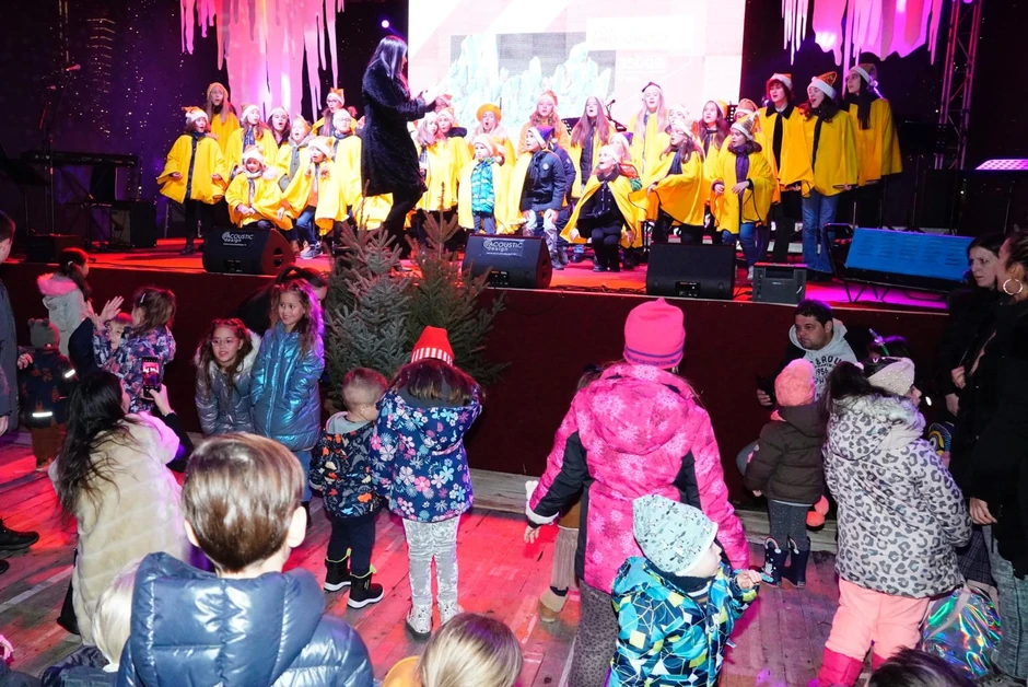 Beogradska zima Sava promenada