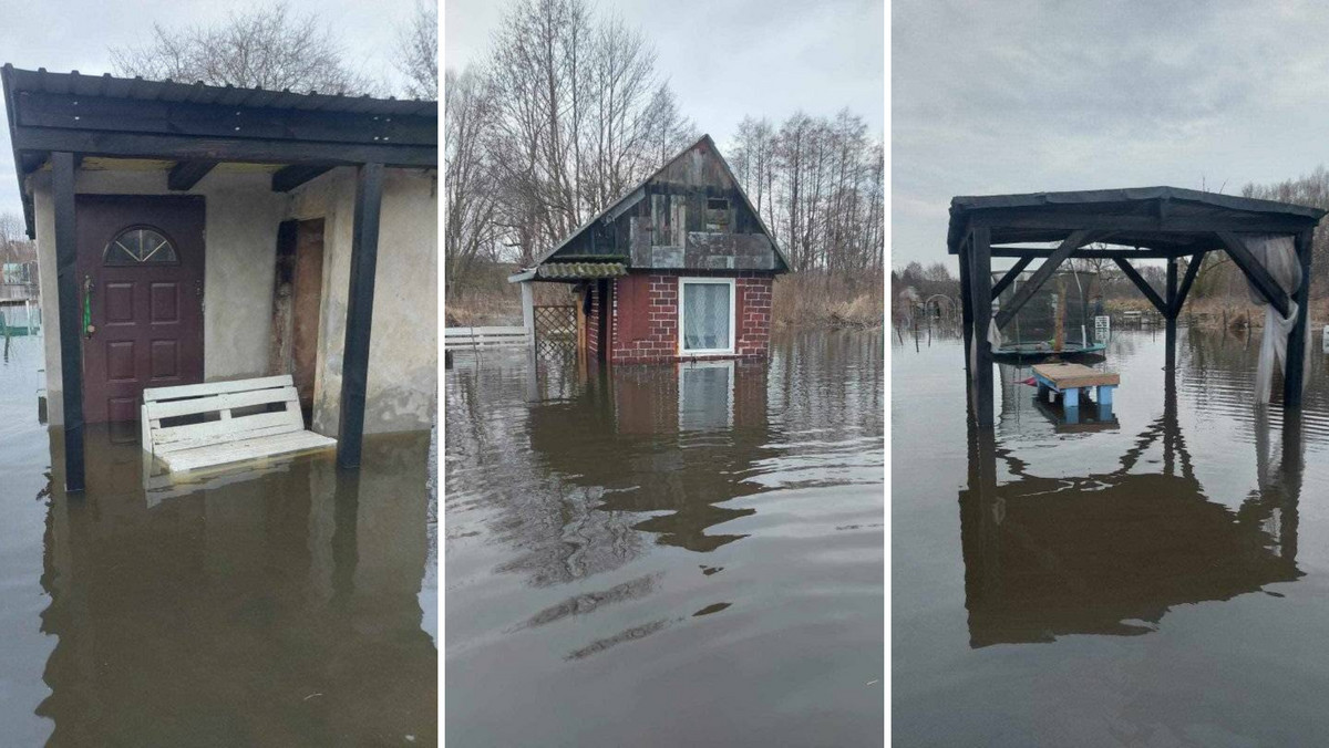 Przedmieścia Starogardu Gdańskiego zalane. Działkowcy drżą o ogródki