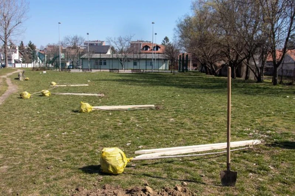 Sadnja drveća za novi parkić na Jugovićevu