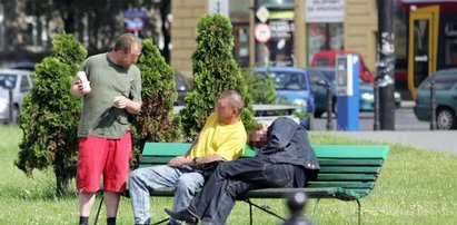 Menele rządzą miastem, a strażnicy gnębią kierowców