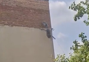 Bacanje građevinskog šuta sa zgrade u Novom Sadu