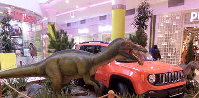 Dinozaury opanowały galerię