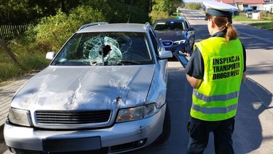 Kierował, patrząc przez otwór w rozbitej szybie. Tłumaczenie zdumiewa