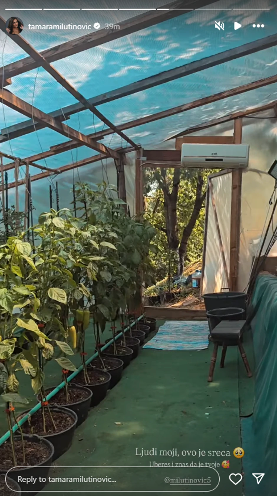 Porodično imanje Tamare Milutinović