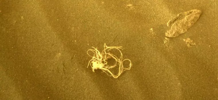 Spaghetti na Marsie. Łazik Perseverance przesłał zdjęcia obiektu łudząco przypominającego makaron
